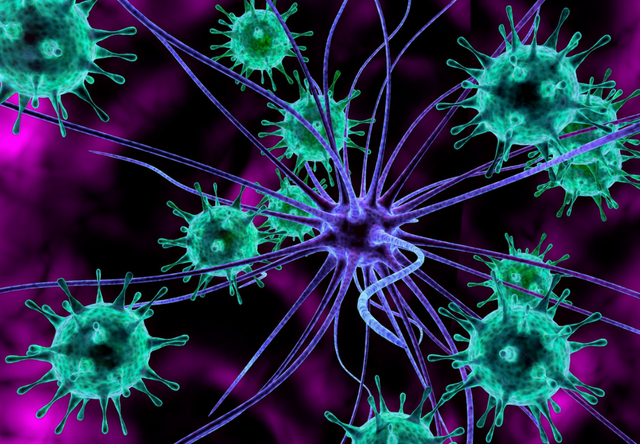 काेराेना संक्रमितकाे संख्या १४ हजार ५ सय ११ जना पुग्याे, ५ हजार बढिकाे डिस्चार्ज