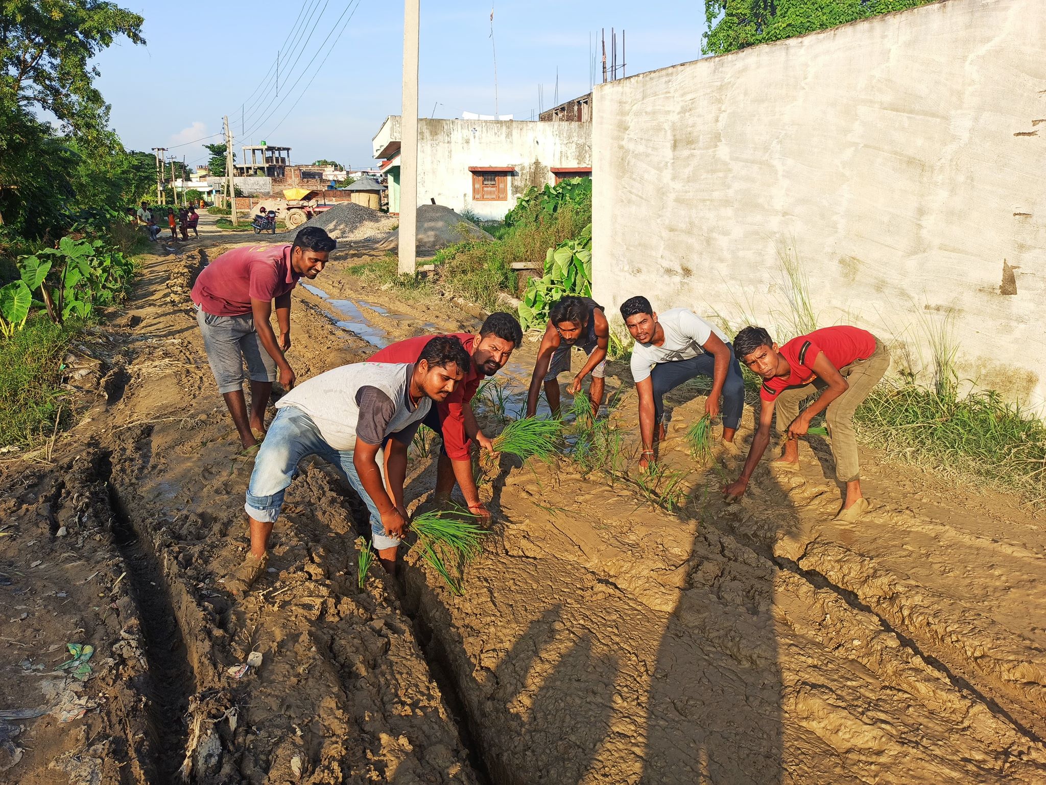 हिलाे बाटाेमा धान राेपेर युवाहरुकाे विरोध