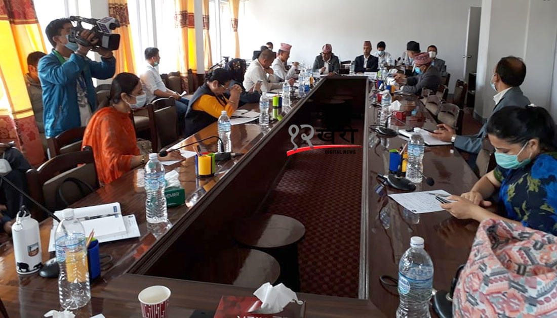 मुलुकको आर्थिक क्षेत्र अध्ययन गर्न चारवटा उपसमिति गठन