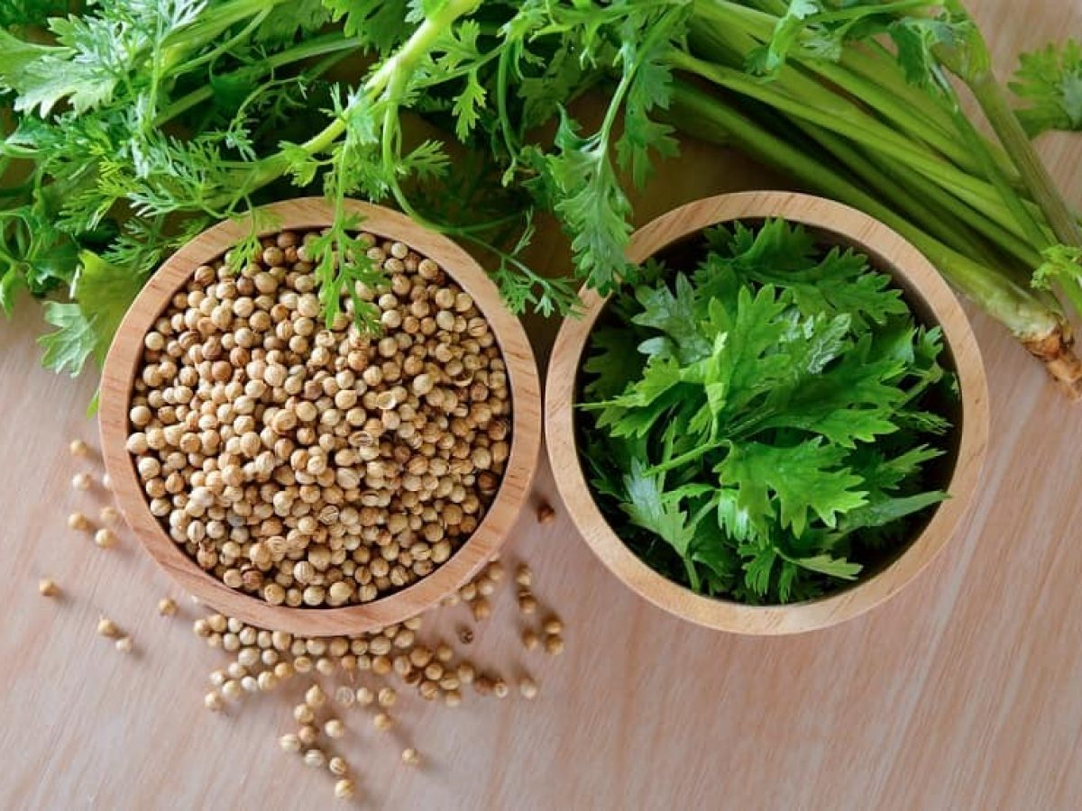 युक्रेन र रुसबाट धनियाँदेखि तेलसम्म आयात