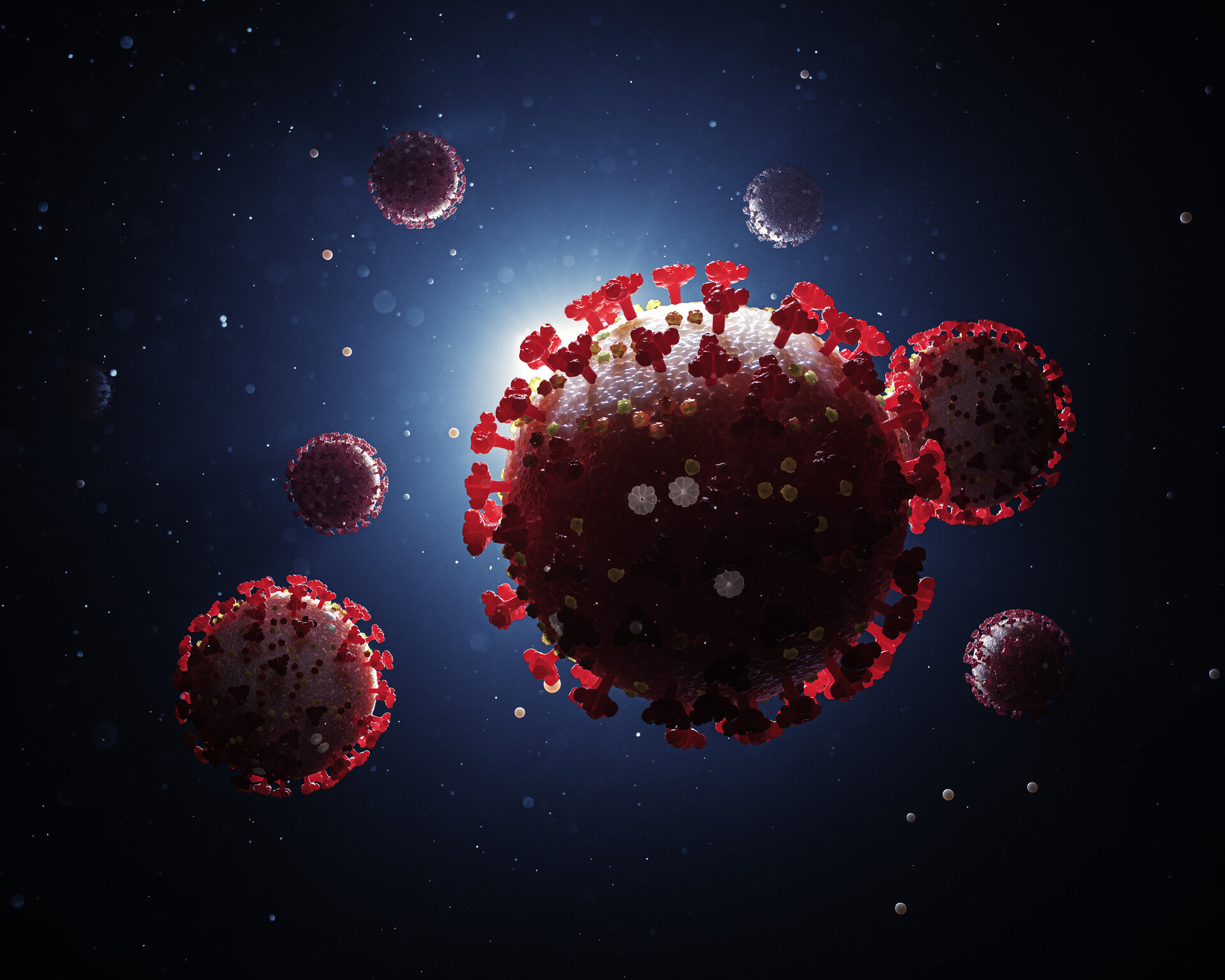 गत २४ घण्टामा थप ४४ जनामा कोरोना पुष्टि