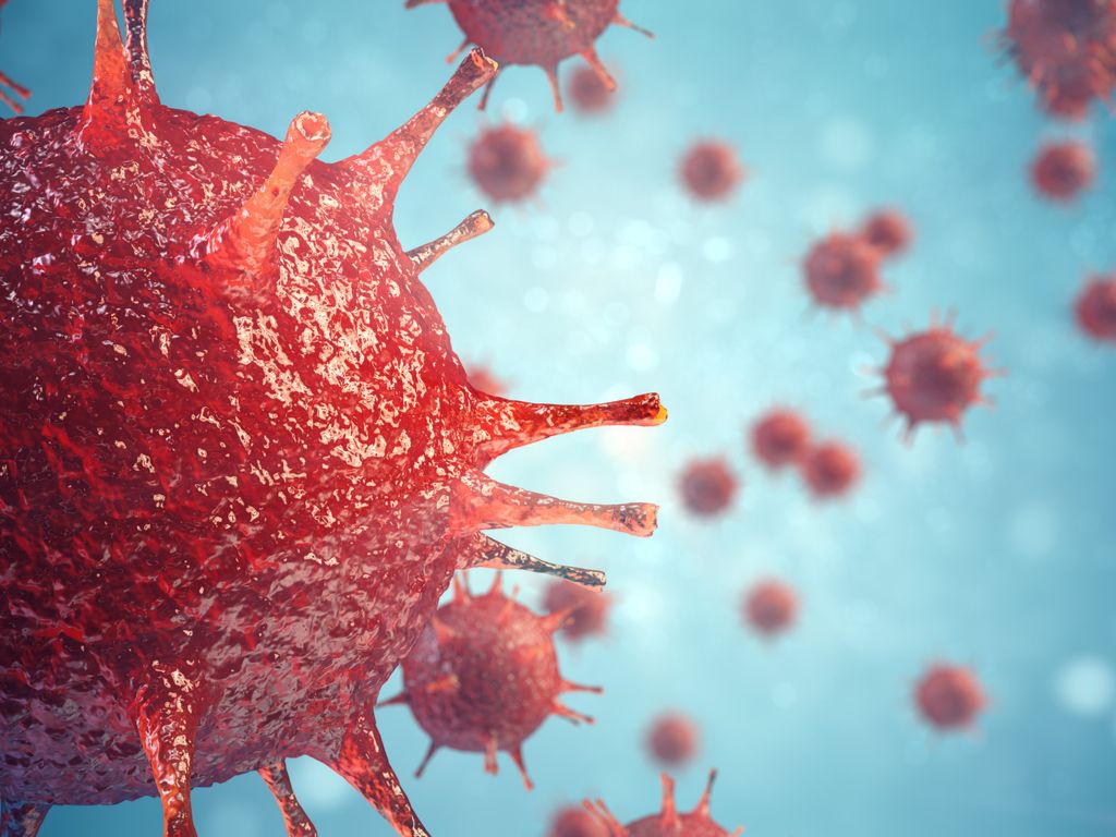 गत २४ घण्टामा ४५ जना कोभिड १९ संक्रमित थपिए