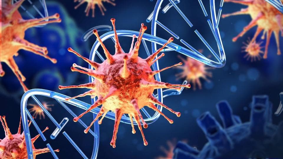 थप १३ जनामा कोरोना पुष्टि