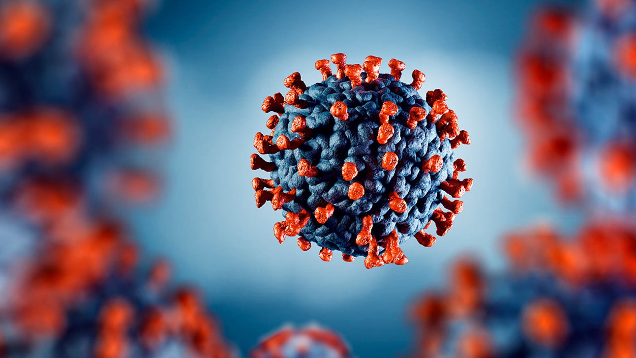 गत २४ घण्टामा १४ जना संक्रमित थपिए