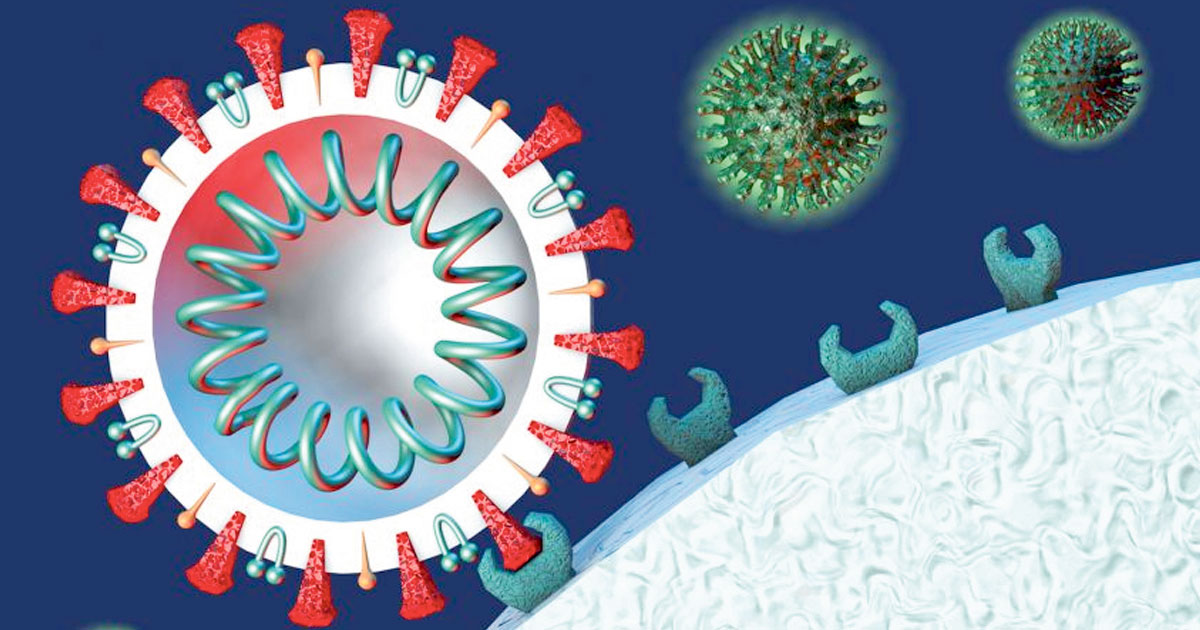 थप २३ जनामा कोरोना संक्रमण, ६६ जना डिस्चार्ज