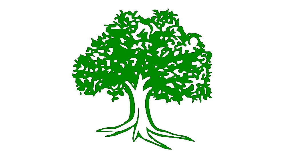 नुवाकोटको गाँउपालिका वडा नं १ मा कांग्रेसको  विजयी