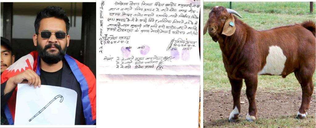 बालेन्द्र साहको चुनाव हार–जीतमा खसी बाजी राख्ने पक्राउ