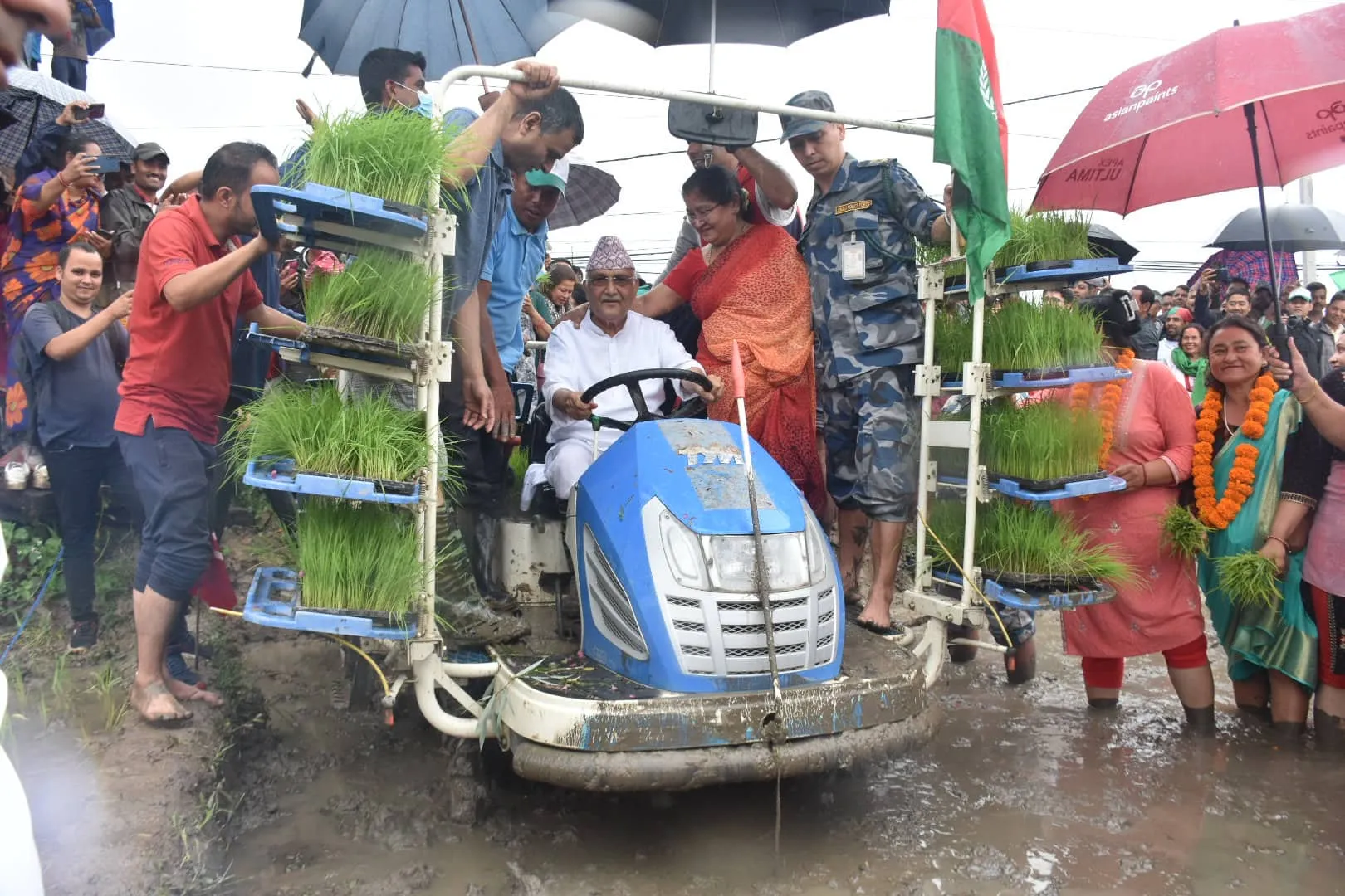 आधुनिक मेसिनबाट अध्यक्ष ओलीले धान गरे रोपाइँ