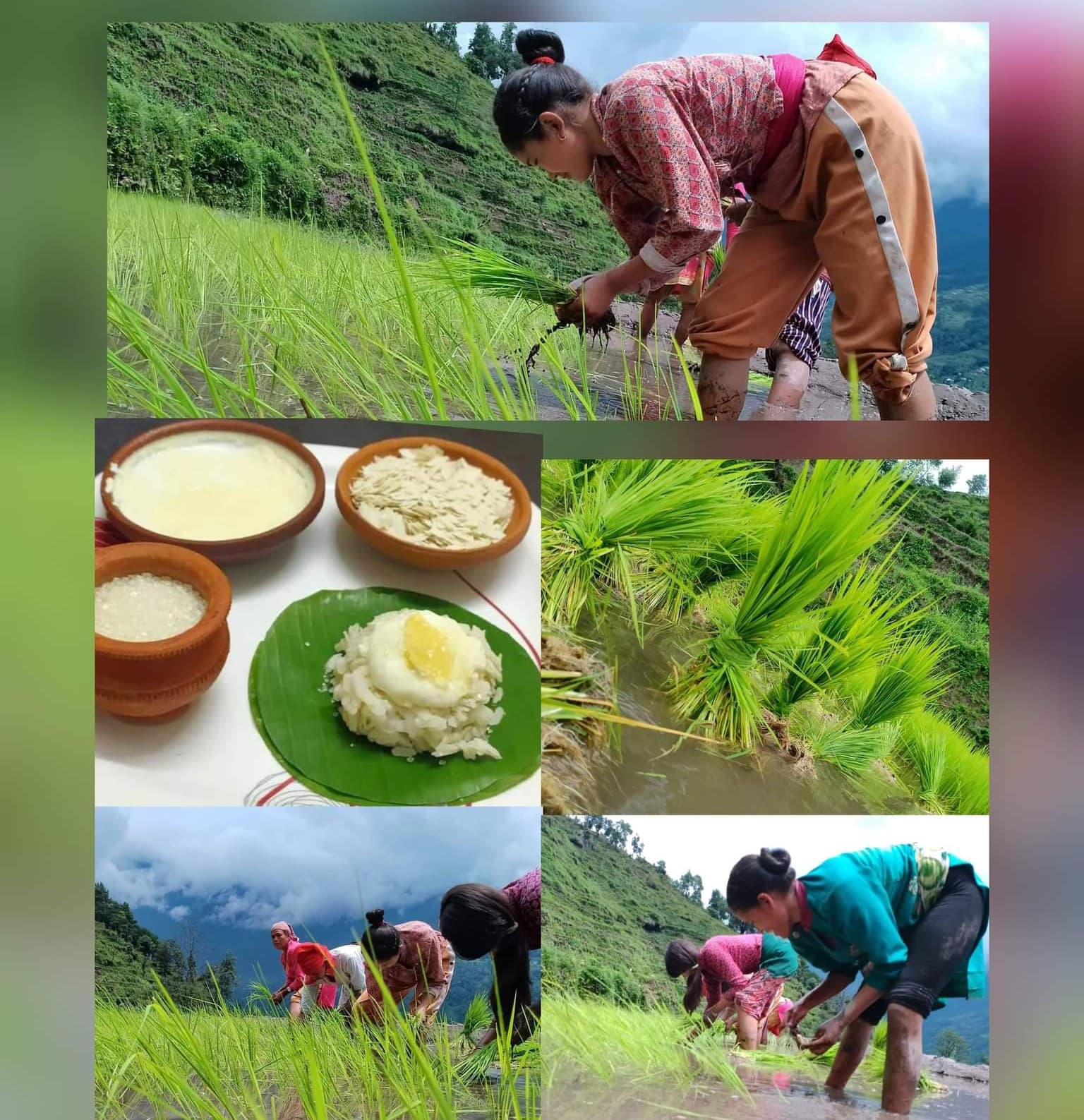 आज असार १५ : दहीच्युरा खाएर सांस्कृतिक पर्वका रूपमा मनाइँदै