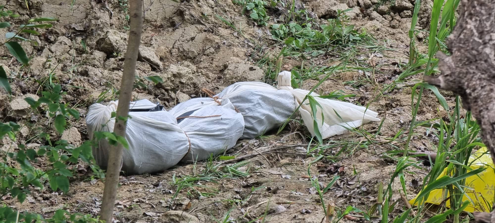 हत्या गरेर झाडीमा फालेको अवस्थामा बालकको शव फेला