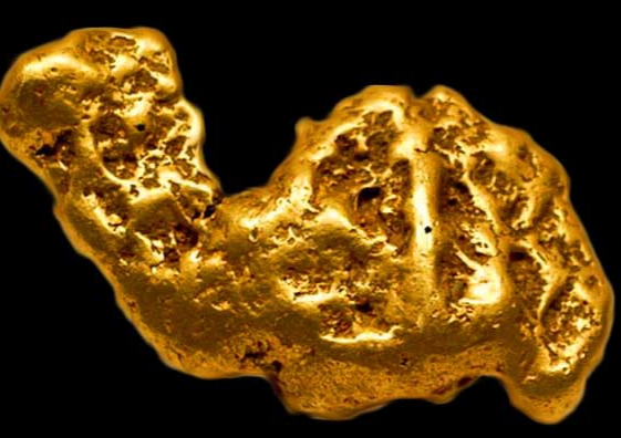 बुधबार सुनको भाउ सामान्य बढ्यो ￼