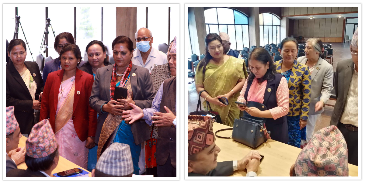 उपसभामुख उम्मेदवारमा भूसाल र भट्टराई