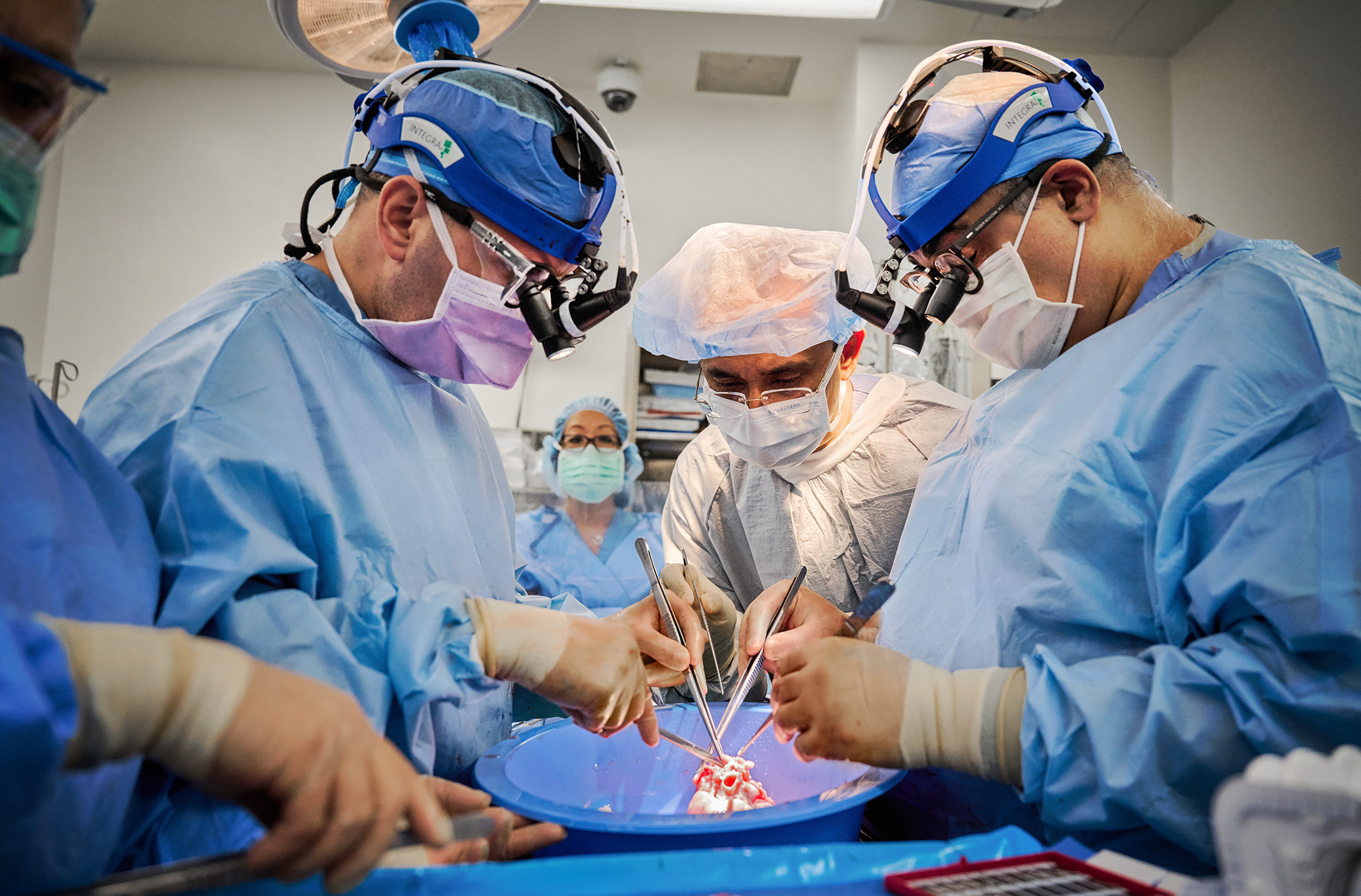 ब्रेन डेड भएका दुई जना बिरामीमा सुँगुरको मुटु प्रत्यारोपण 