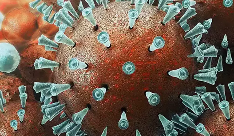 गत २४ घण्टामा २२९ जना संक्रमित थपिए, ४८ जना डिस्चार्ज