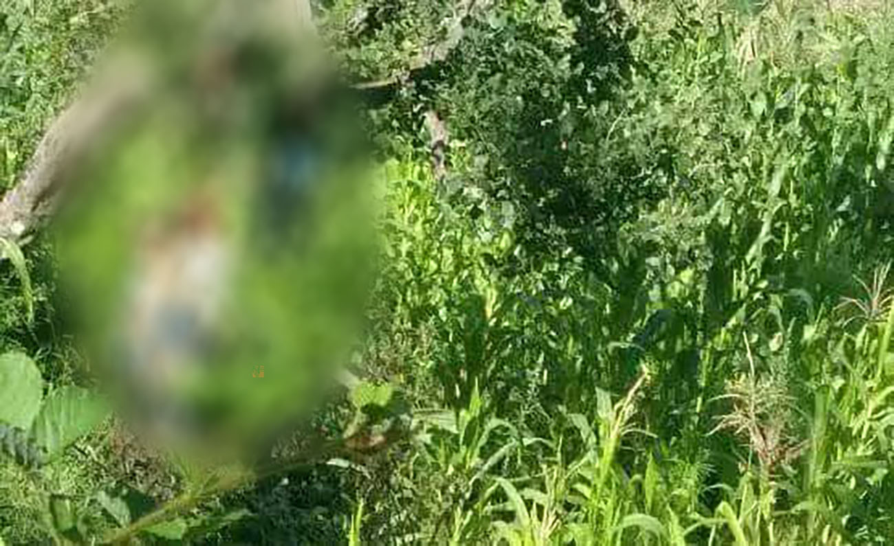 एउटै रुखमा झुण्डिएर रिवारका ३ जनाले गरे आत्महत्या