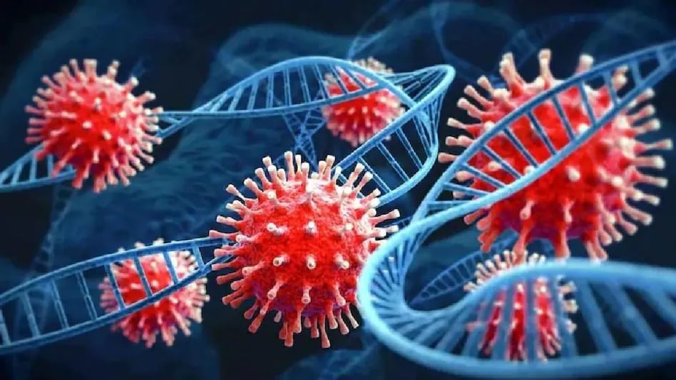 थप २७१ जनामा कोरोना पुष्टि, एकको मृत्यु