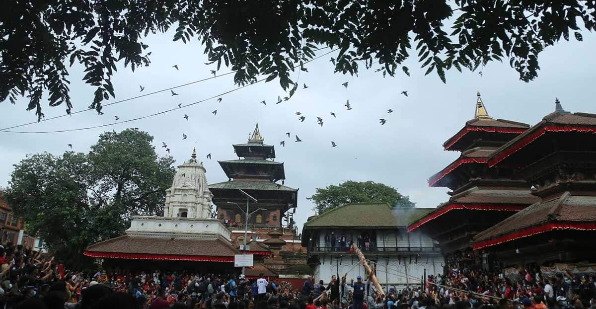 आजबाट विधिवत रुपमा इन्द्रजात्रा सुरु, हनुमानढोकामा ठड्याइयो लिङ्गो