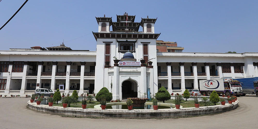 निर्वाचित प्रतिनिधिलाई प्रमाणपत्र वितरण