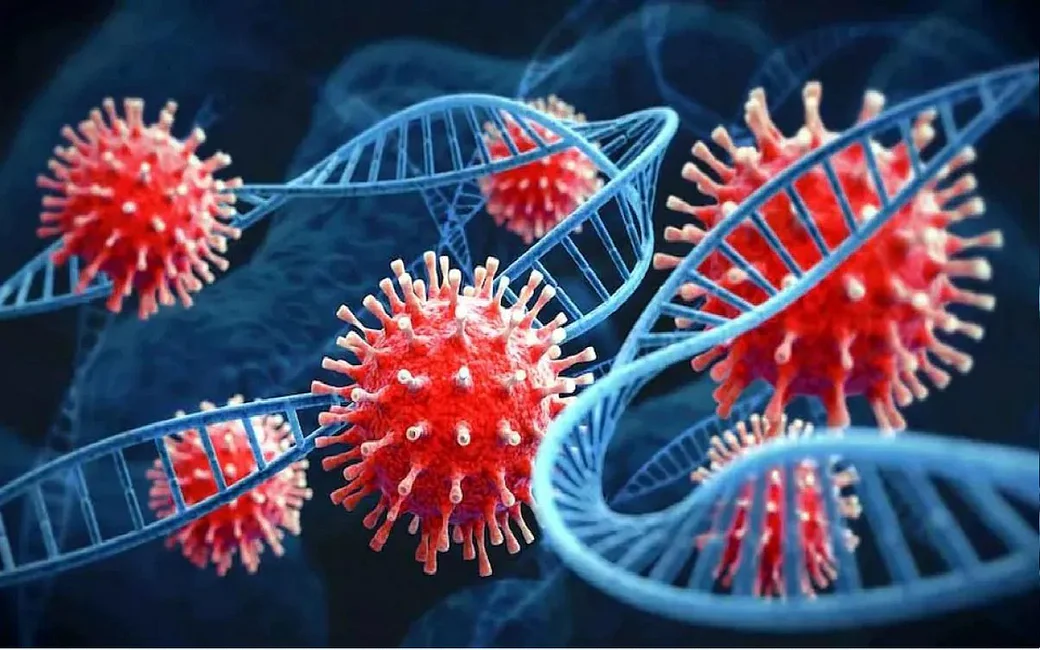 थप २ जनामा कोरोना संक्रमण, १४ जना डिस्चार्ज