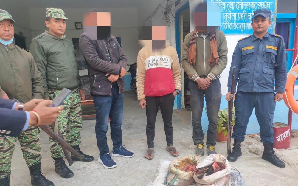 गाई काटेर मासु भागबण्डा लगाउने तीन जना पक्राउ