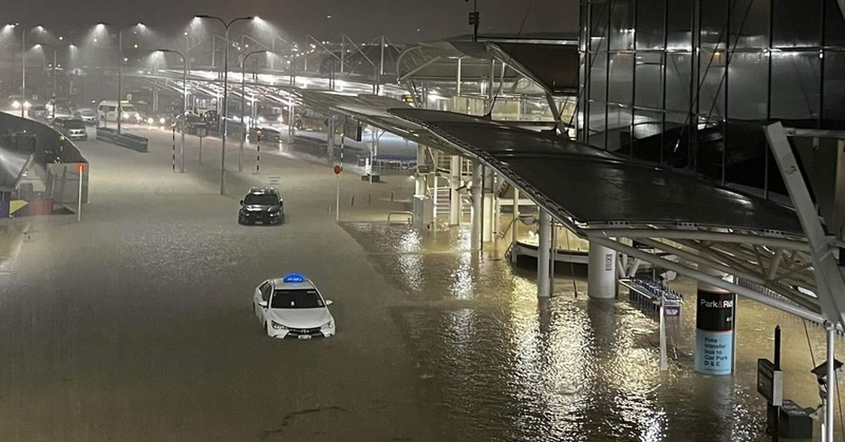 न्युजिल्याण्डमा भीषण वर्षा,आपत्काल घोषणा