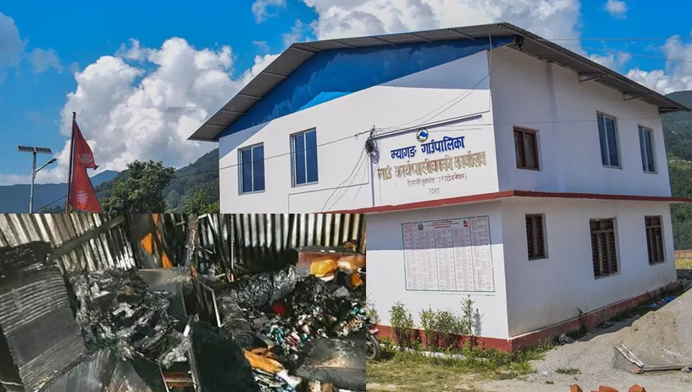 चार जिपिए ल्याउनेलाई म्यागङ गाउँपालिकाले ५० हजार नगद दिने