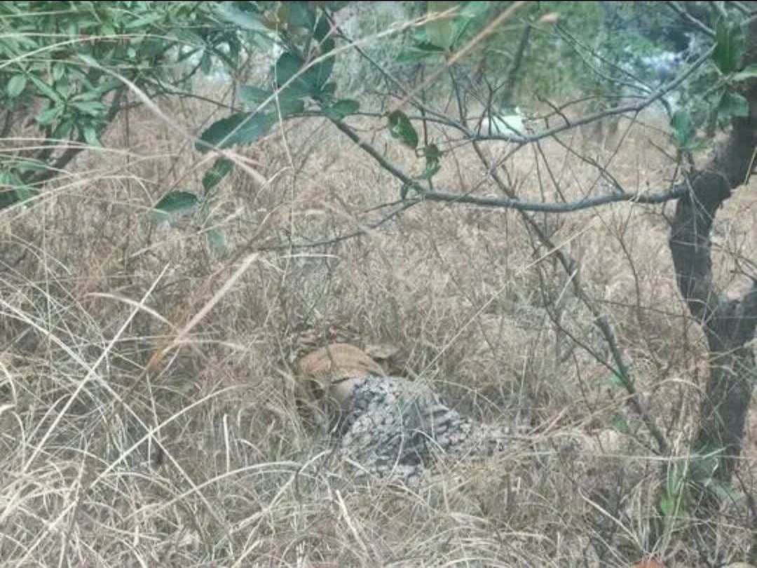 सिस्नो टिप्न घरबाट निस्किएका दिदीबहिनी मृत फेला,हत्याको आशंका